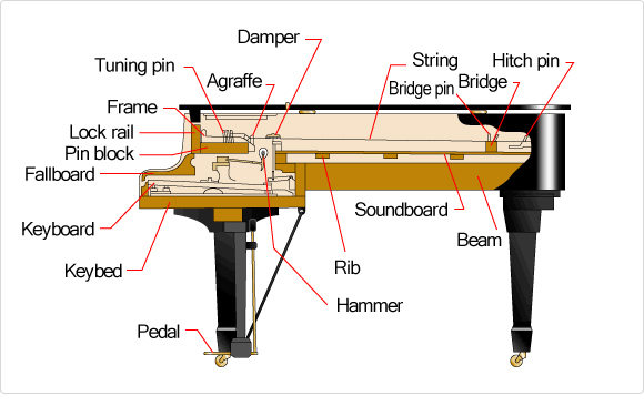 A labeled overview of a piano including all major piano components